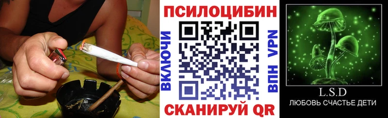 Галлюциногенные грибы Cubensis  блэк спрут вход  Муром 